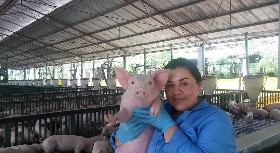 Holding a piglet